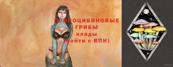 PSILOCYBIN Гусев