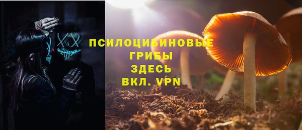 марки nbome Гусиноозёрск