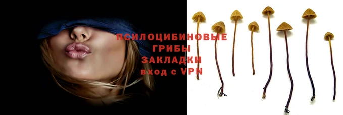 марки lsd Гусь-Хрустальный