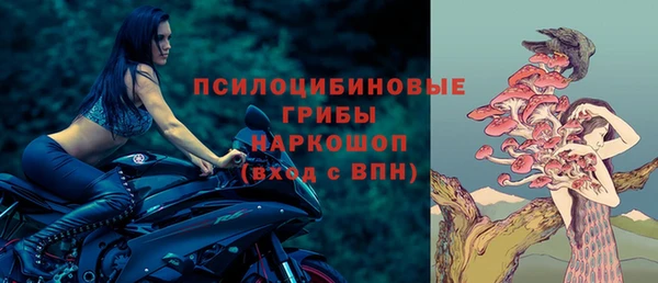 PSILOCYBIN Гусев